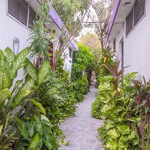 https://hotel-aventura.hotelsmerida.org